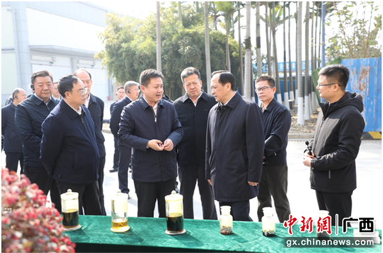 图为实地考察。黄建健 摄 图为实地考察。黄建健 摄
